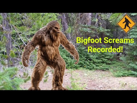 Youtube: Bigfoot Yell in Washington State! Turn your speakers up! #scary