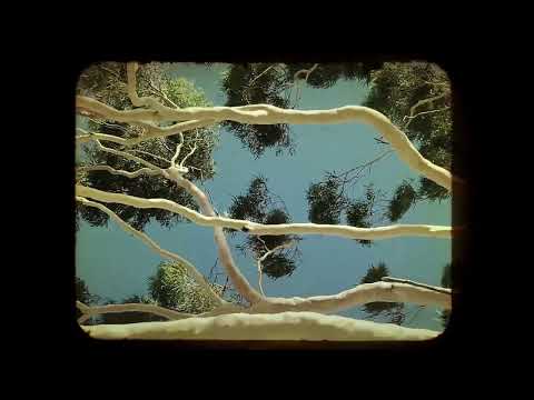 Youtube: Emily Barker & Lukas Drinkwater - Push the Sky Away (Nick Cave & The Bad Seeds cover) Official video