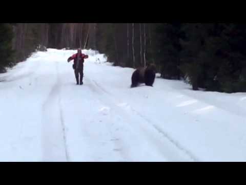 Youtube: Swedish man scares the living shit out of an attacking bear