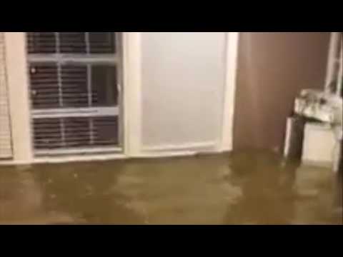 Youtube: Water Floods House with Water & Fish During Hurricane Harvey
