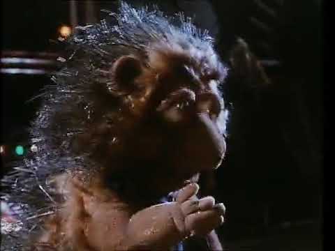 Youtube: Meet the Feebles - Geht vorher hier in die Lehre, das sind die Basics | Muppets auf Crack