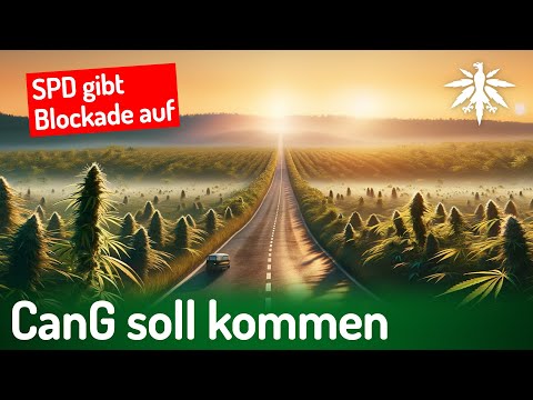 Youtube: SPD gibt Blockade auf, CanG soll kommen | DHV-News # 409