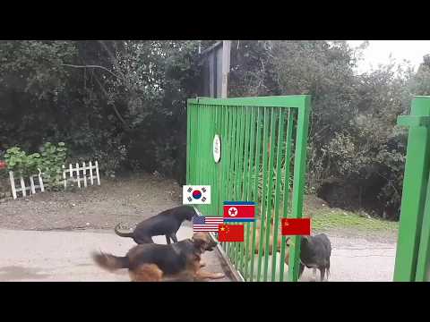 Youtube: North Korean conflict summarized