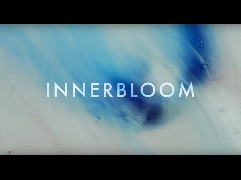 Youtube: RÜFÜS DU SOL ●● Innerbloom (Official Video)
