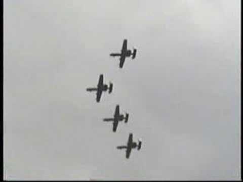Youtube: 2002 Wings of Freedom Airshow - Maryland ANG A-10s