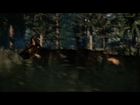 Youtube: Grubby Mitts: "The Dogs"