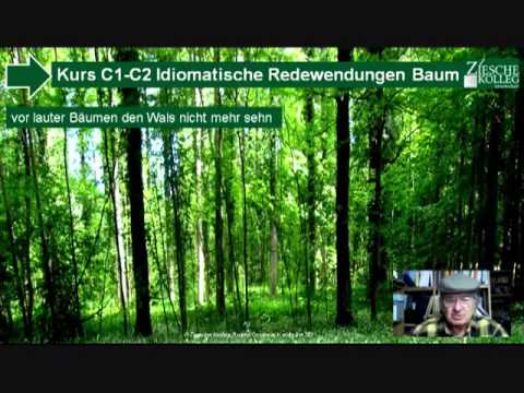 Youtube: C1-C2 idiomatische Redewendungen Hörtext den Wald voller Bäume nicht...