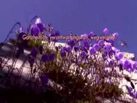 Youtube: Die Violetten - Wahlspot für die Landtagswahlen 2008