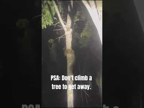 Youtube: Tree climbing nope rope