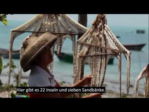 Youtube: [Doku] A Bite of China, Folge 1: Geschenke der Natur, UT deutsch