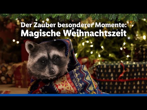 Youtube: Der Zauber besonderer Momente | Magische Weihnachtszeit | Lidl lohnt sich