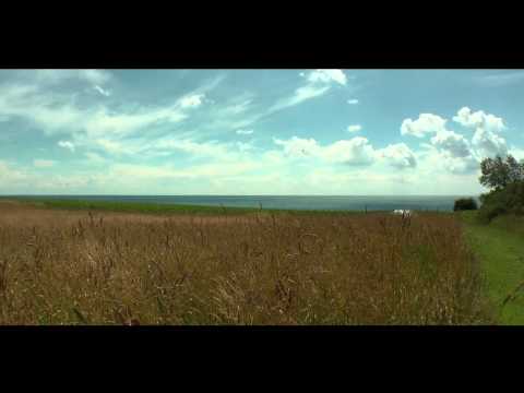 Youtube: STING Fields of Gold HQ HD