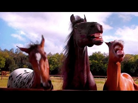 Youtube: Volkswagen Tiguan Horses Laugh - Commercial 2016