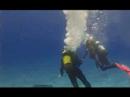 Youtube: Hilarious SCUBA accident