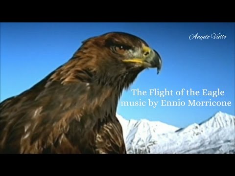 Youtube: The Flight of the Eagle  music by Ennio Morricone