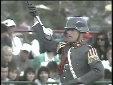 Youtube: Gran Parada Militar 2009 (14) Ejercito de Chile