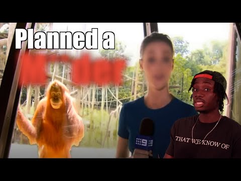 Youtube: The Potentially Terrifying Intelligence of the Orangutan