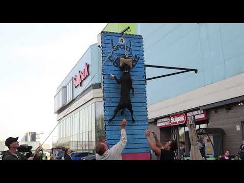 Youtube: Pitbull Show. Wall climbing. Kazakhstan. Almaty