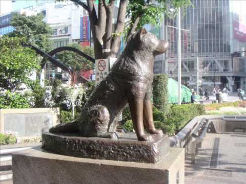 Youtube: Hachiko - Eine wunderbare Freundschaft