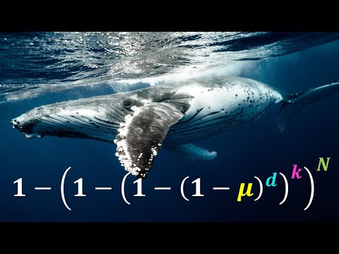Youtube: Why don't whales get more cancer? - Peto's Paradox
