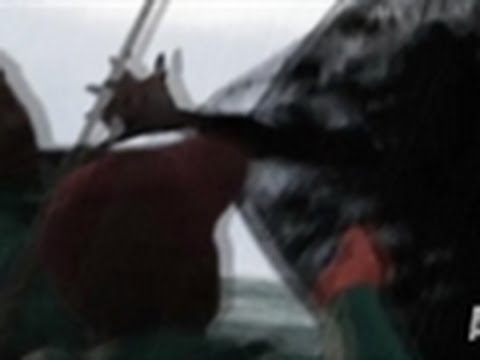 Youtube: Unidentified Catch | Mermaids