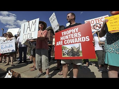 Youtube: Löwe Cecil: Demonstration vor Praxis des Jägers - auch Prominente protestieren