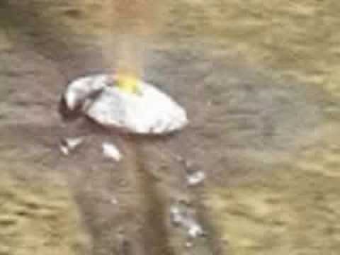Youtube: Former USAF Pilot Saw UFO Crash