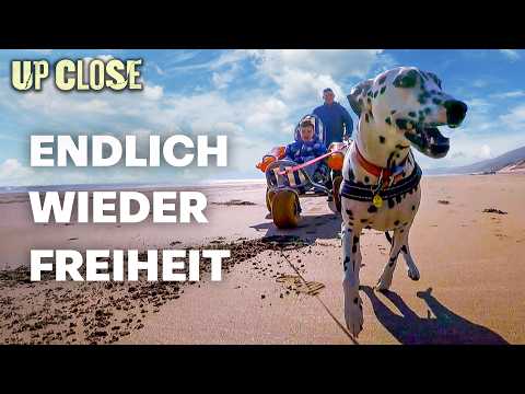 Youtube: Unheilbar krank und doch frei dank dieser Hündin