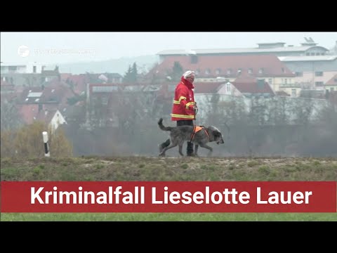 Youtube: Kriminalfall Lieselotte Lauer: Führt ein Archäologiehund die Ermittler zur Vermissten?