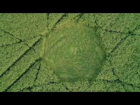 Youtube: Devils Den. Wiltshire. CROP CIRCLE 17.6.2018 SUPERLONG EDIT 4K