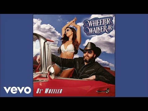 Youtube: Wheeler Walker Jr. - If My Dick Is up, Why Am I Down? (Audio)
