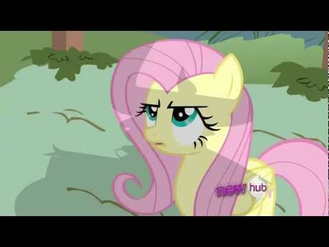 Youtube: Fluttershy - I'm sorry but no means no