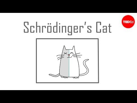 Youtube: Schrödinger's cat: A thought experiment in quantum mechanics - Chad Orzel