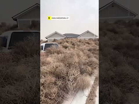 Youtube: Utah, Nevada Towns Hit With 'Tumblemageddon'
