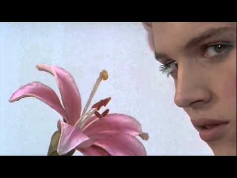 Youtube: The Ballad Of Maxwell Demon - Velvet Goldmine