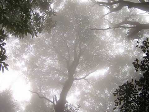 Youtube: Loreena McKennitt - Emmanuel