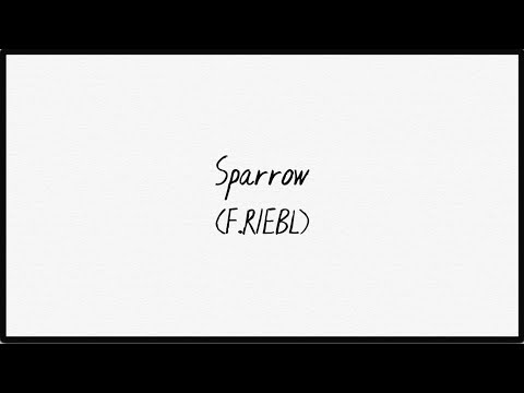 Youtube: The Cat Empire - Sparrow (Official Lyric Video)