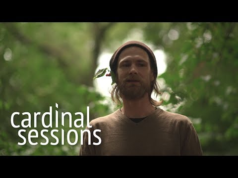 Youtube: Käptn Peng & die Tentakel von Delphi - Tier - CARDINAL SESSIONS (Haldern Pop Special)