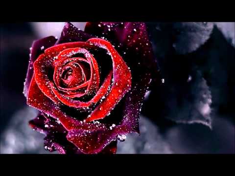 Youtube: Kotkan ruusu - Eino Grön