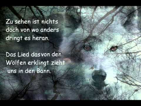 Youtube: Lied der Wölfe und Freundschaft Little Wolf 25