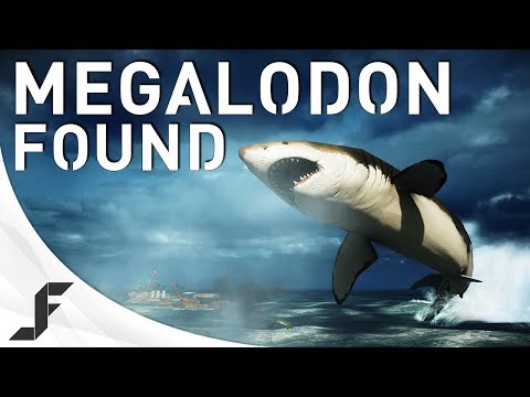 Youtube: MEGALODON FOUND! Battlefield 4 Giant Shark Easter Egg!
