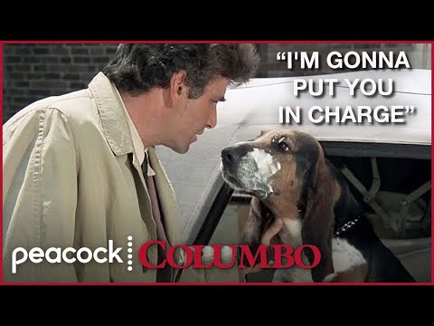 Youtube: 6 Times Columbo's Dog Stole the Scene | Columbo