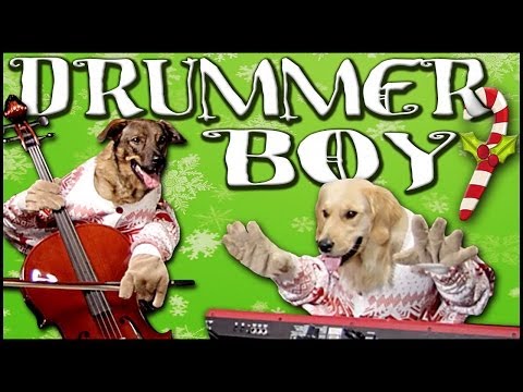 Youtube: Little Drummer Boy - Walk off the Earth (Feat. Doggies)