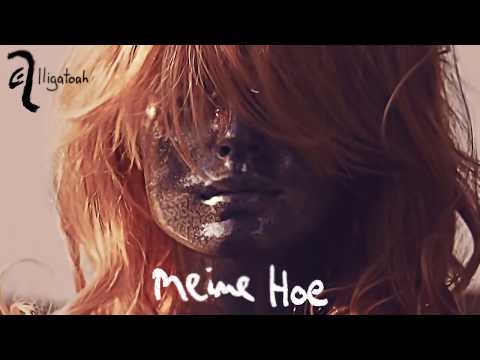 Youtube: Alligatoah – Meine Hoe (Official Audio)