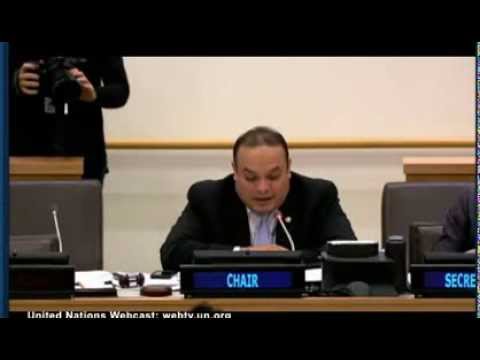 Youtube: Hot mic catches UN interpreter saying anti-Israel votes are 'a bit much'