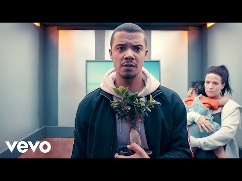 Youtube: Raleigh Ritchie - Time in a Tree
