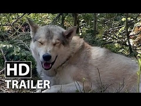 Youtube: Happy People - Ein Jahr in der Taiga - Trailer (Deutsch | German) | HD