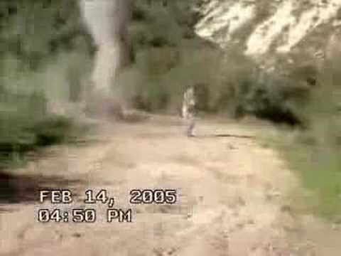 Youtube: ufo crash in woods