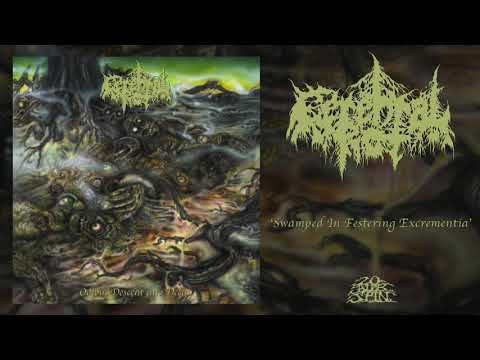 Youtube: CEREBRAL ROT - Swamped In Festering Excrementia (From 'Odious Descent Into Decay' LP, 2019)