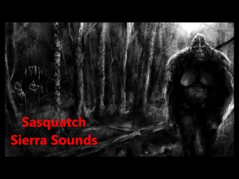 Youtube: Sasquatch Sierra Sounds by Ron Morehead & Al Berry in (HD)